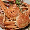 京都府のかに食べ放題まとめ8選【ランチや安いお店・ホテルも】